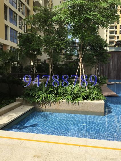 Terrasse (D19), Condominium #151881372